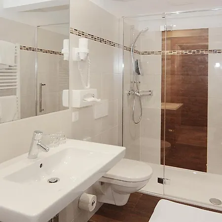 Goldener Adler 린츠